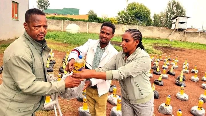 Empowering Women and Mothers